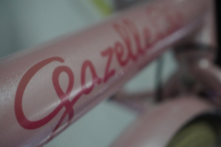 Refurbished Gazelle Miss Grace 54cm