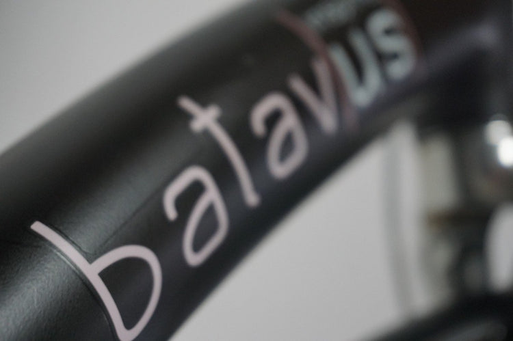 Refurbished Batavus Mambo Inspire 53cm