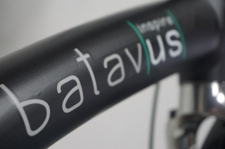 Refurbished Batavus Mambo 7 55cm