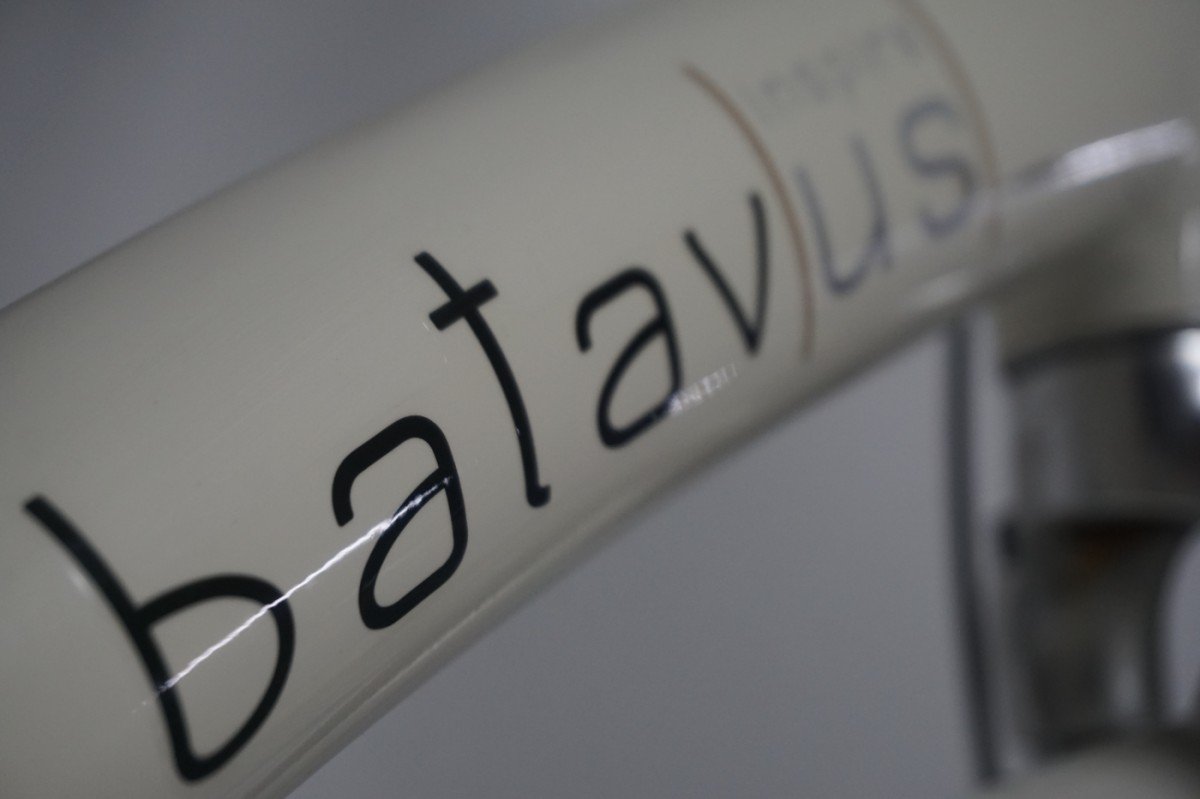 Refurbished Batavus Mambo 7 53cm