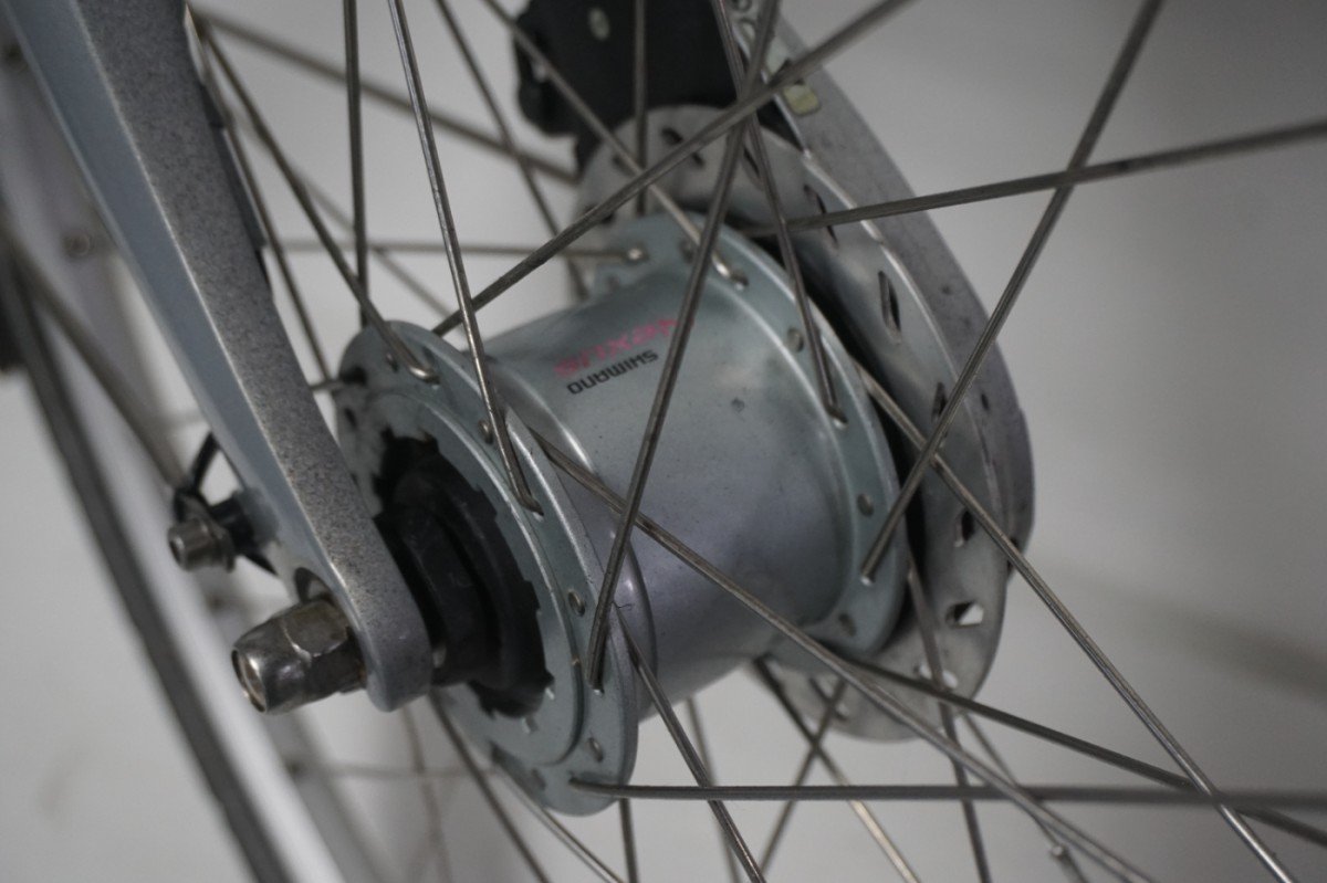 Refurbished Gazelle Paris C7 61cm