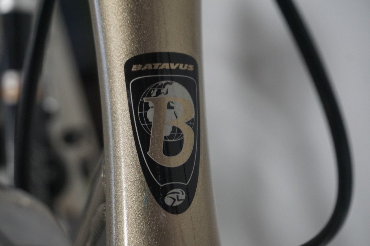 Refurbished Batavus WEEKEND-X N8 57cm