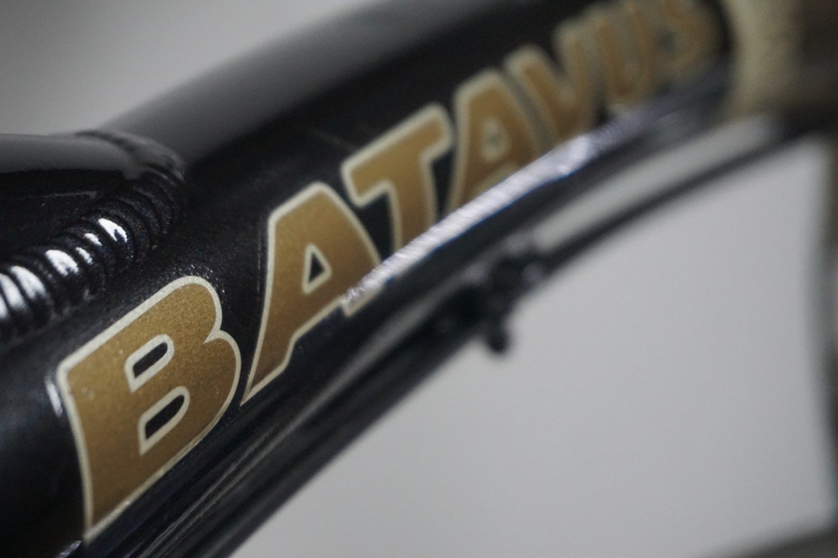 Refurbished Batavus WEEKEND-X N8 57cm