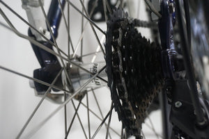 Refurbished Gazelle Medeo 53cm