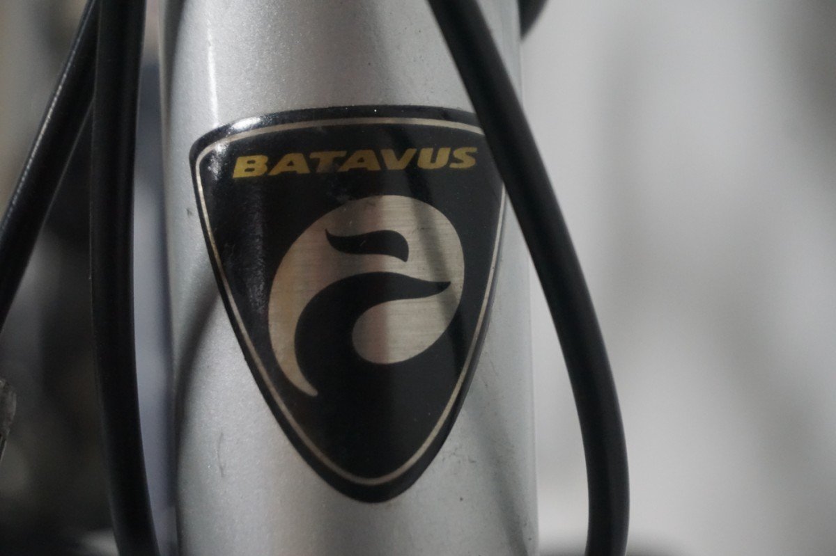 Batavus Jakima 54cm