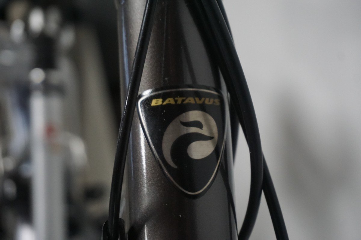 Refurbished Batavus Compass 48cm