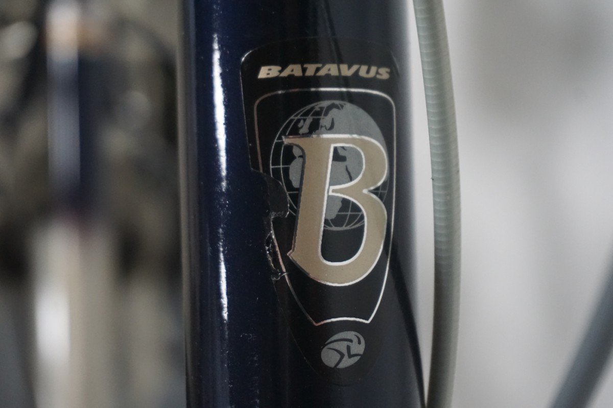 Batavus Kayenta 61cm