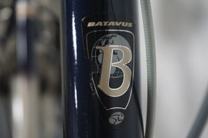 Batavus Kayenta 61cm