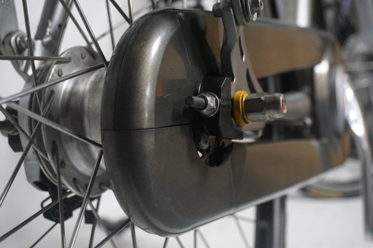 Gazelle Paris C7 61cm