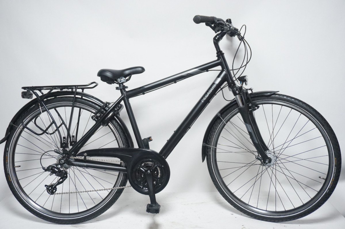 Pegasus Piazza 21 50cm