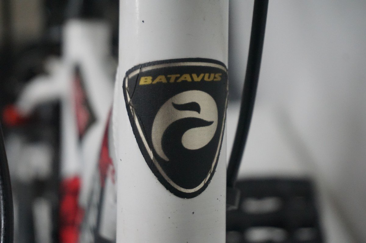 Batavus SNAKE Jongens 30cm