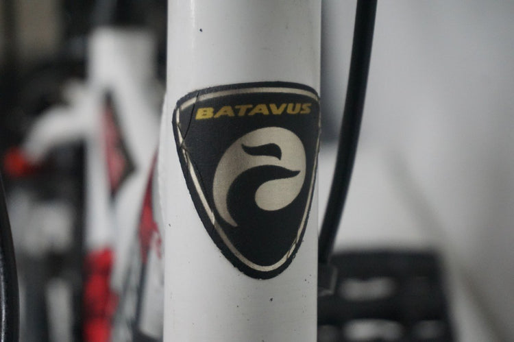 Batavus SNAKE Jongens 30cm