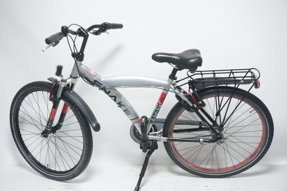 Batavus SNAKE Jongens 37cm