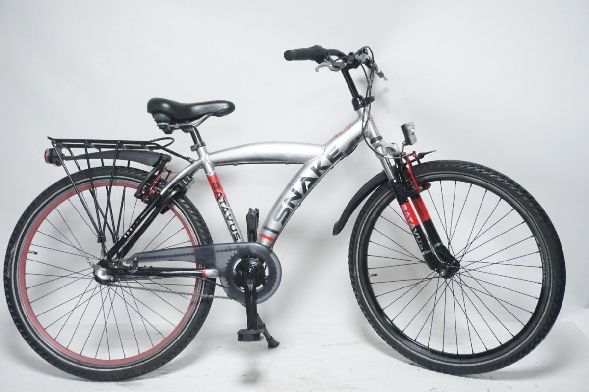 Batavus SNAKE Jongens 37cm