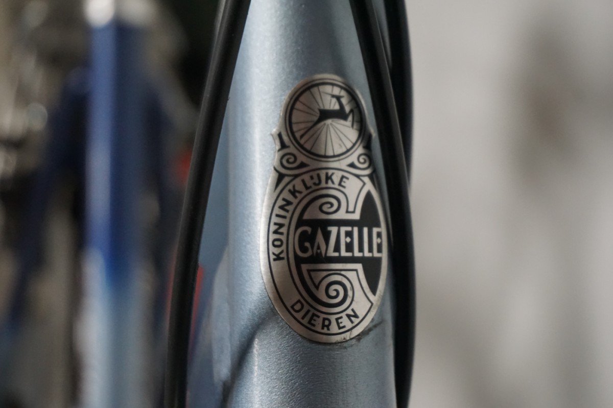 Gazelle Chamonix 53cm