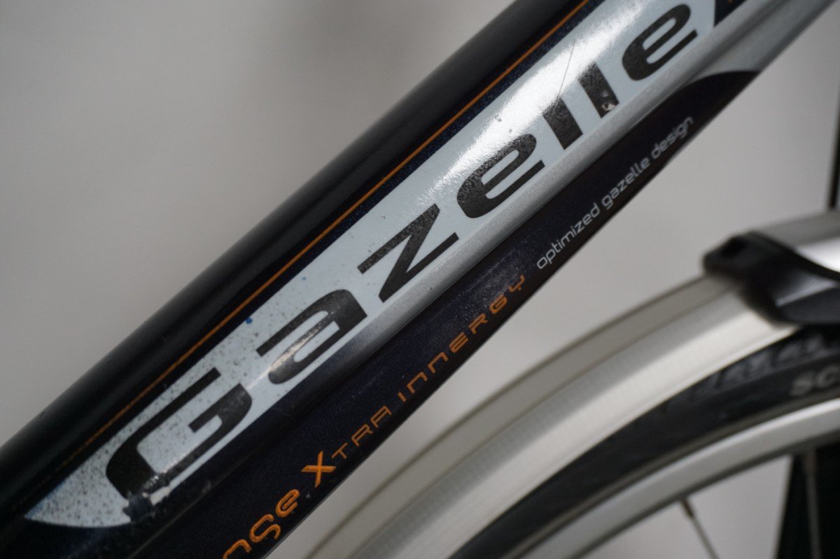 Gazelle Orange Donker 53cm