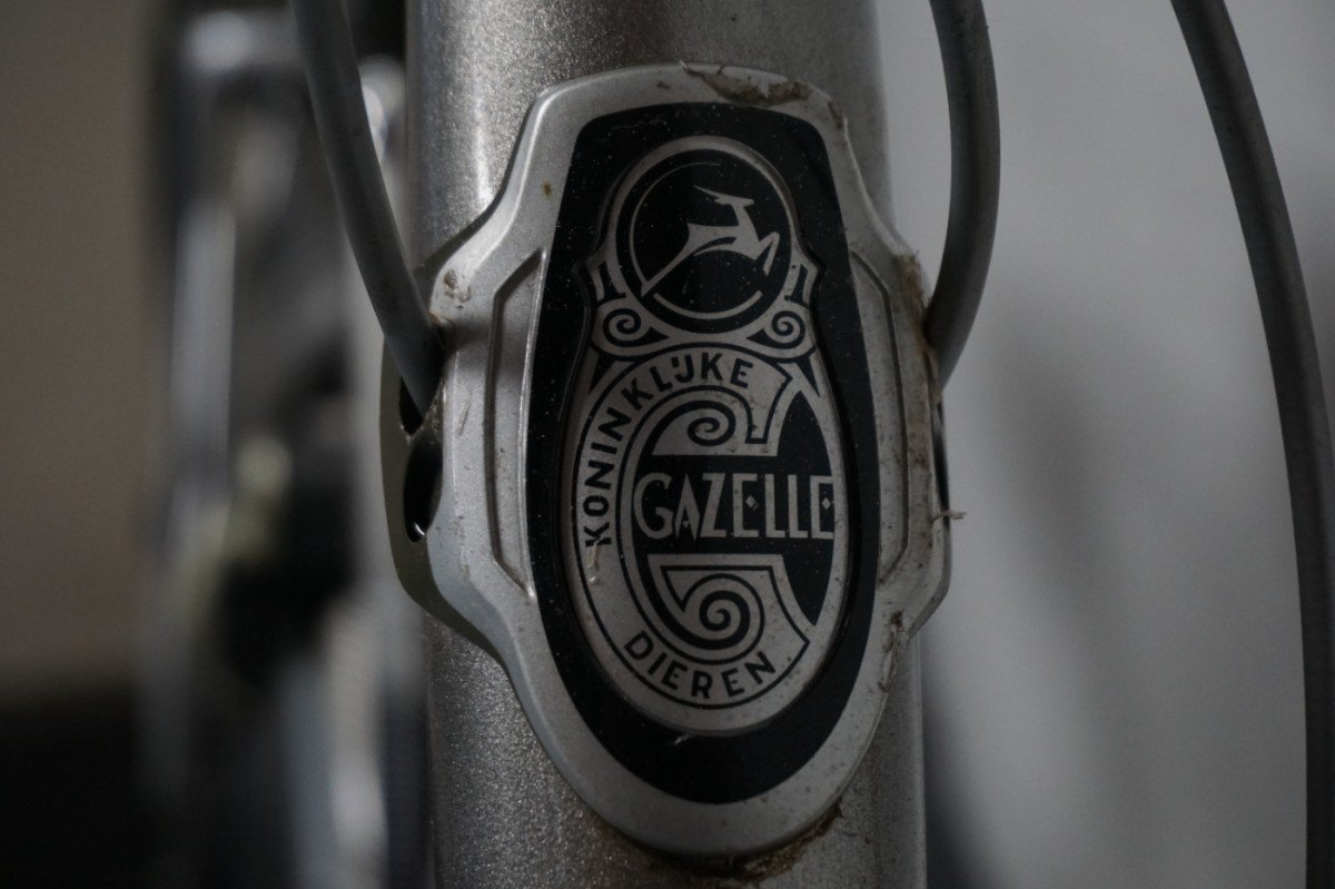 Gazelle Orange Xtra 49cm