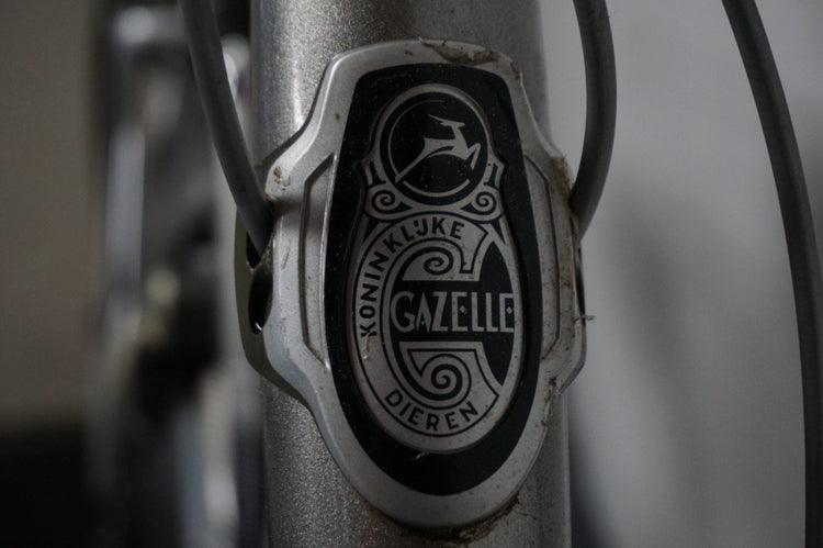 Gazelle Orange Xtra 49cm