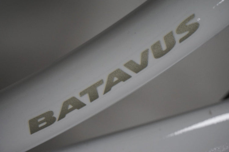 Batavus Diva 3 50cm
