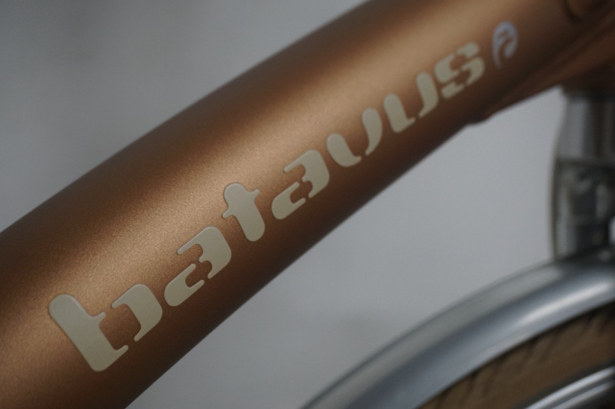 Batavus Mambo 7 Bronze 50cm
