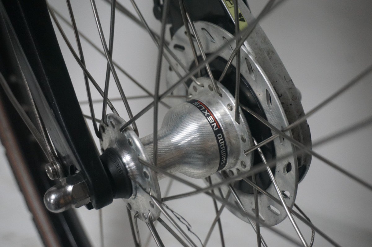 Sparta Sense 53cm 2023