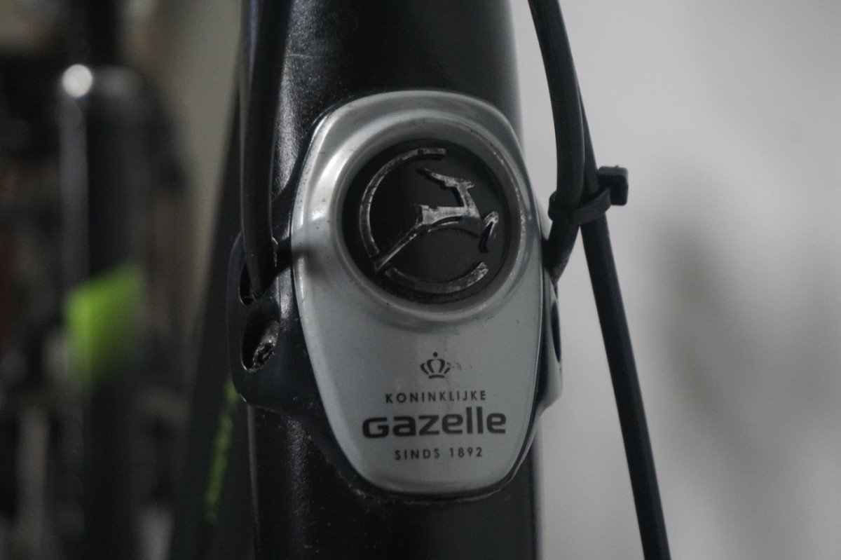 Gazelle Chamonix C8 53cm