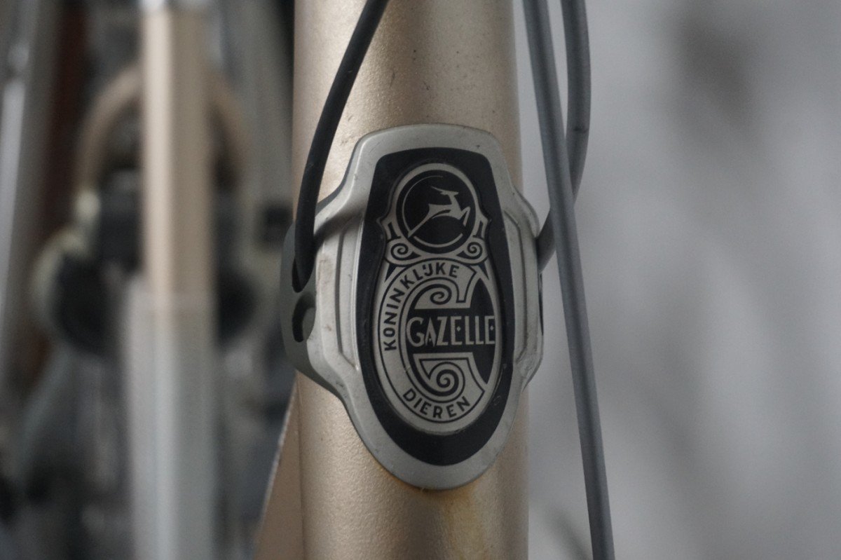 Gazelle Orange Xtra - 53cm