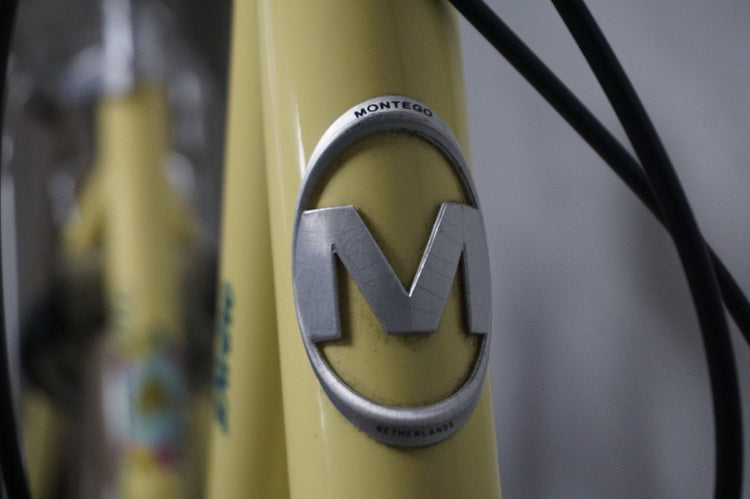 Montego Divine N3 Geel 55cm