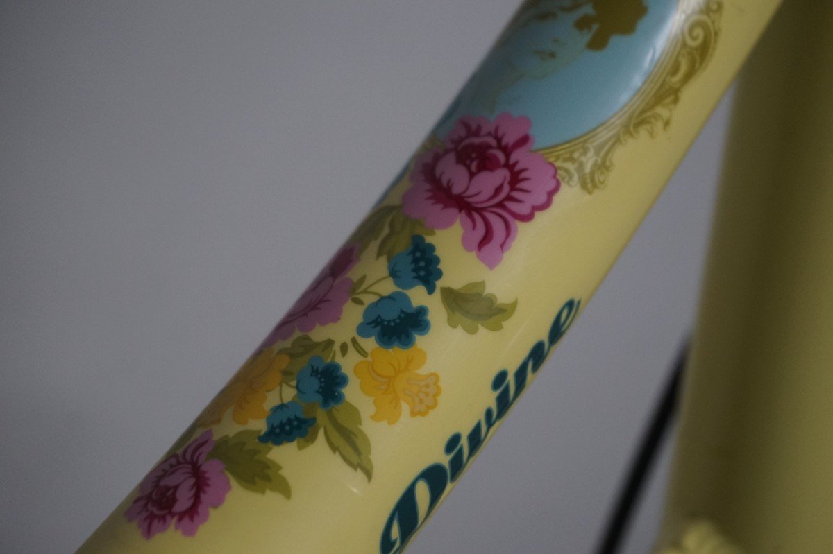 Montego Divine N3 Geel 55cm