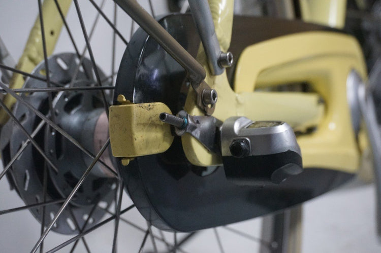 Montego Divine N3 Geel 55cm