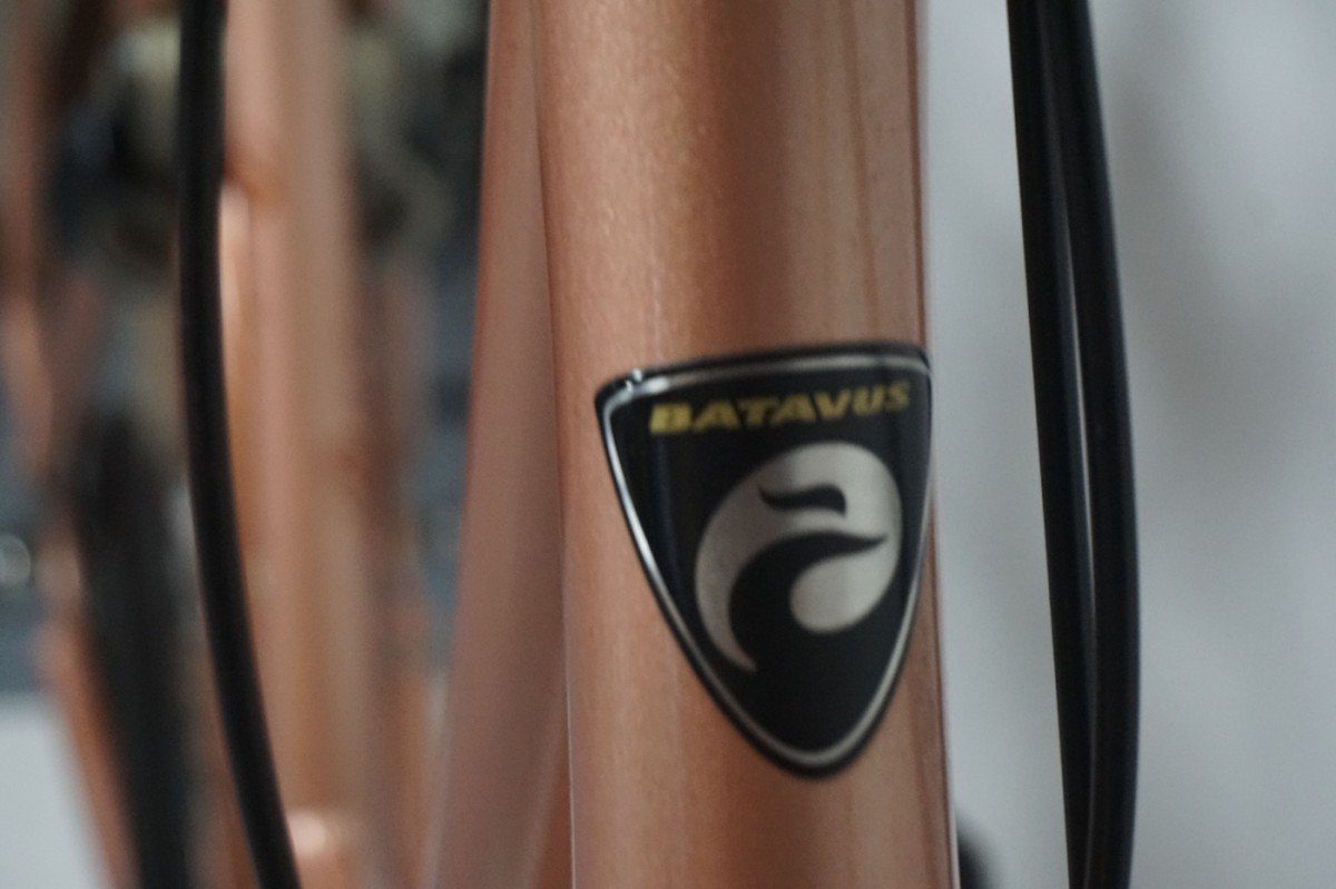 Batavus Diva 7 Bronze 50cm