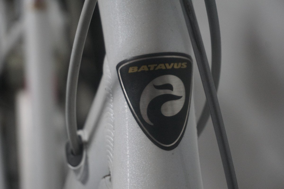 Batavus SPRING 53cm