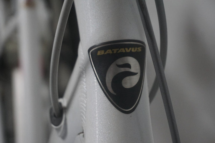 Batavus SPRING 53cm