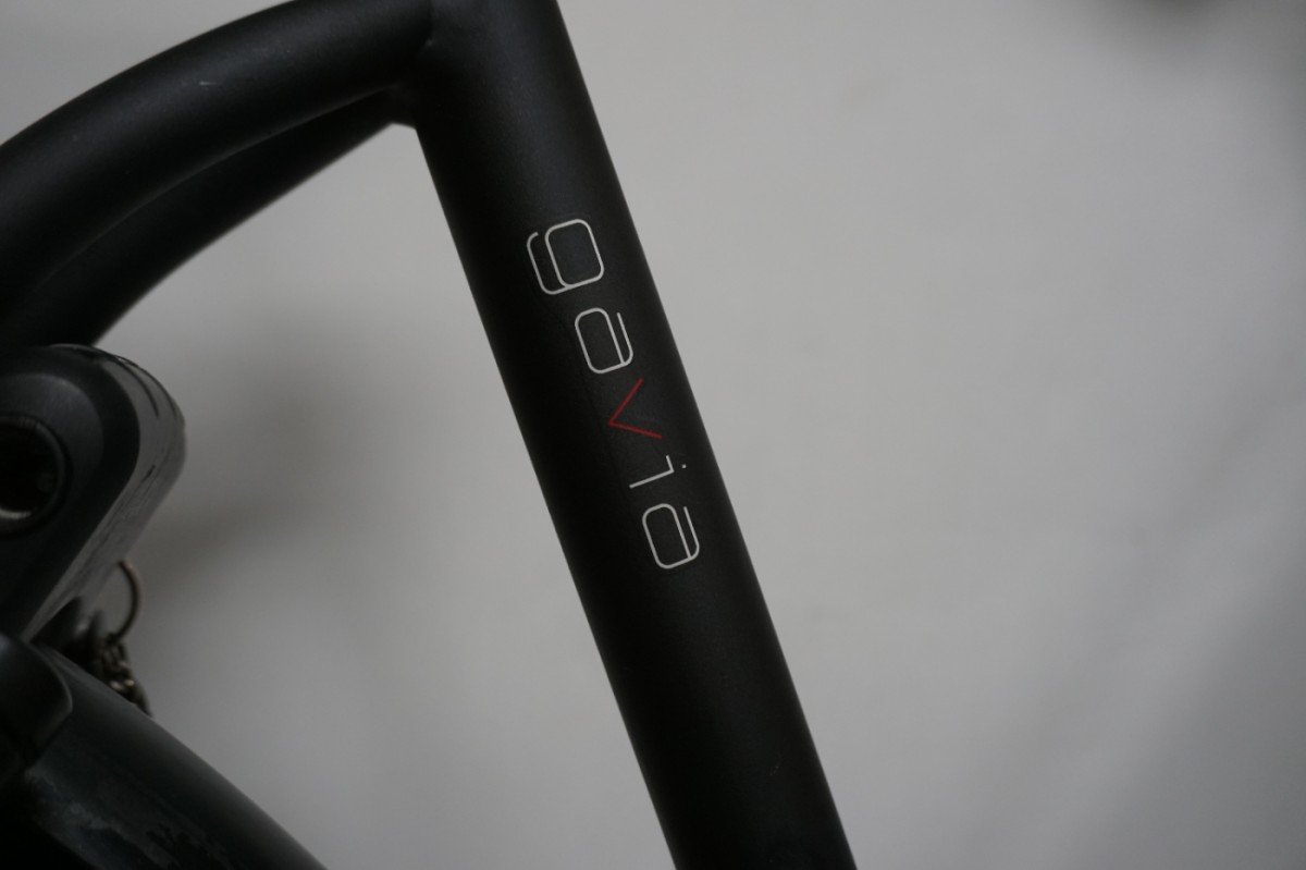 Batavus Gavia . 55cm