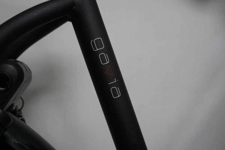 Batavus Gavia . 55cm