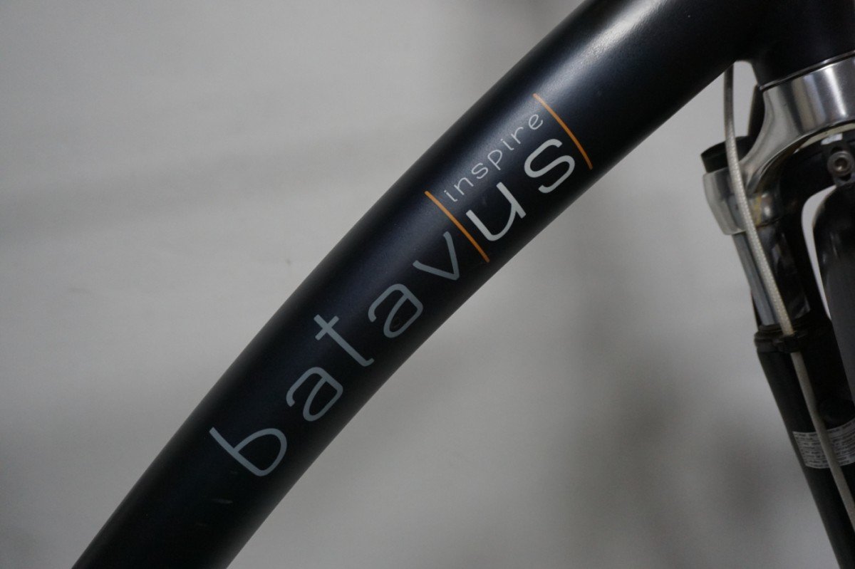 Batavus Inspire 53cm