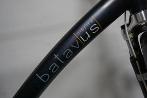 Batavus Inspire 53cm
