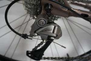 Gazelle Chamonix Trekking 53cm