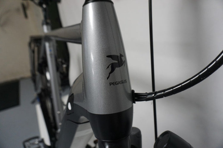 Pegasus Ravenna 65cm