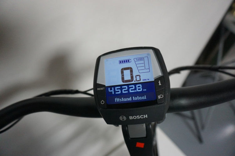 Pegasus Ravenna 65cm