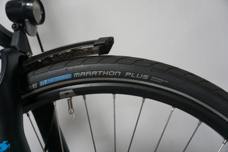 Pegasus Ravenna 65cm