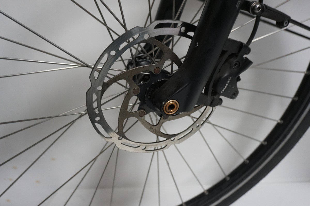 Pegasus Ravenna 65cm