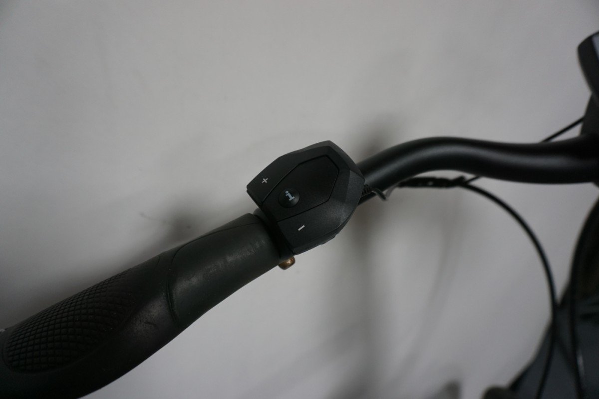 Pegasus Ravenna 65cm