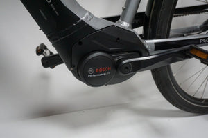 Pegasus Ravenna 65cm