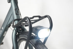 Cortina Common Metallic Green 57cm