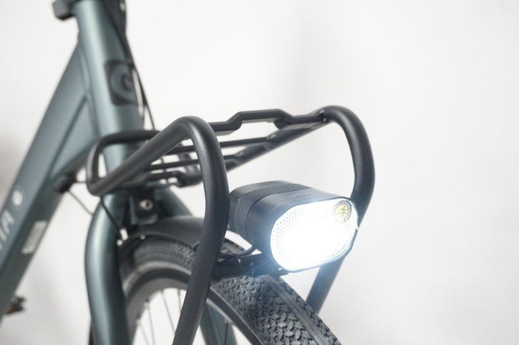 Cortina Common Metallic Green 57cm