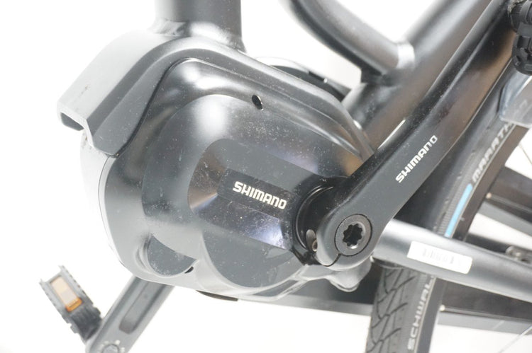 Stella Vincenza 53cm .