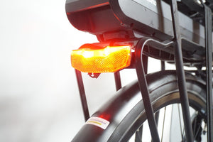 Stella Vincenza 53cm .