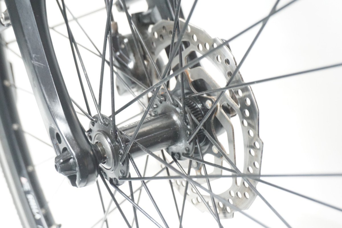 Stella Vincenza 53cm .