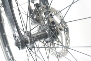 Stella Vincenza 53cm .